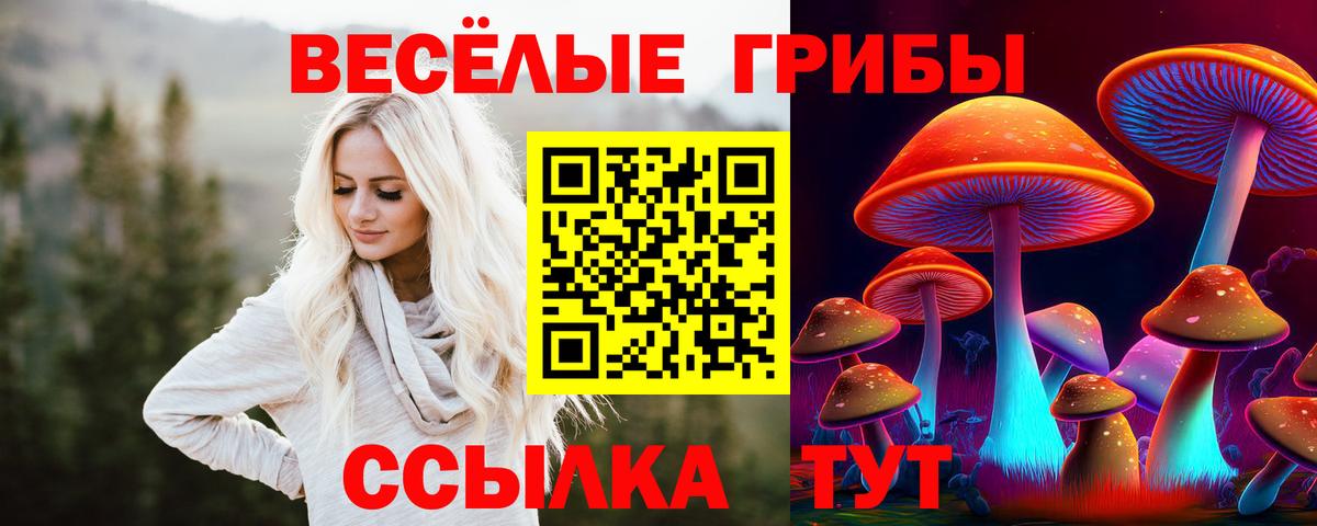 как найти закладки  Галлюциногенные грибы прущие грибы  Вход с VPN  Псилоцибиновые грибы Cubensis  Биробиджан 